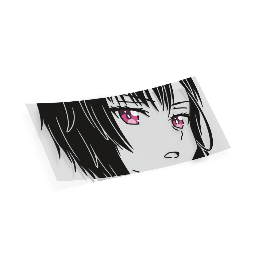 Shizuka Ver2 Overlay