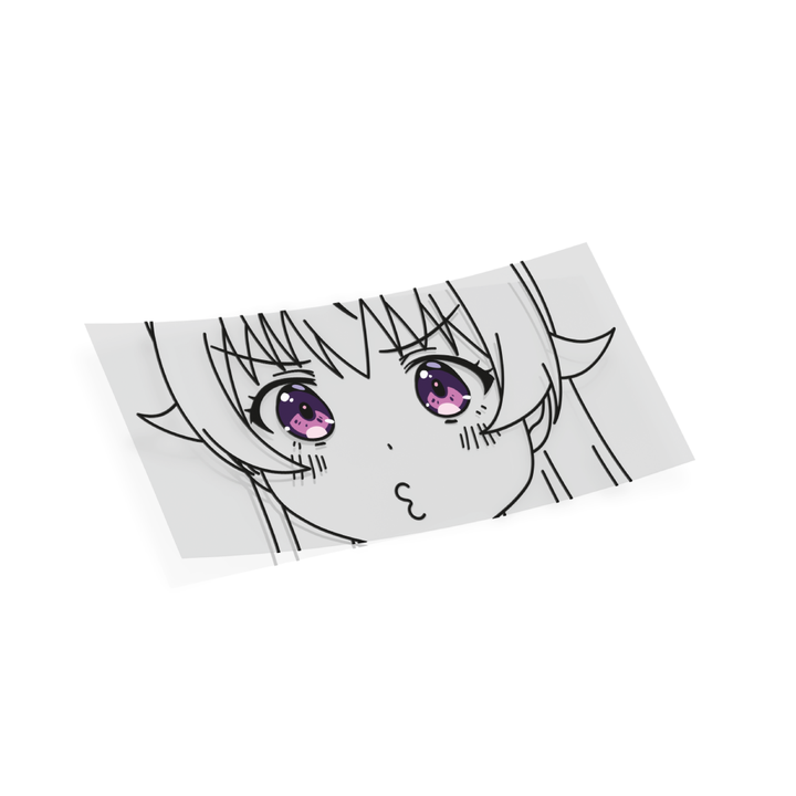 Nico Pout Overlay