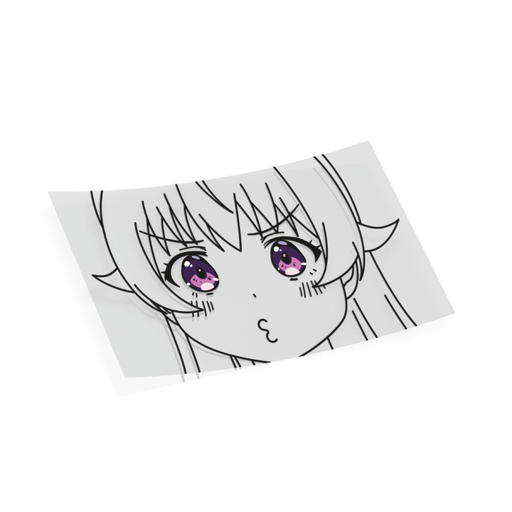 Nico Pout Overlay